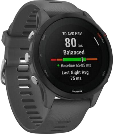 Garmin Forerunner 255 Slate Gray (010-02641-00-10-43)