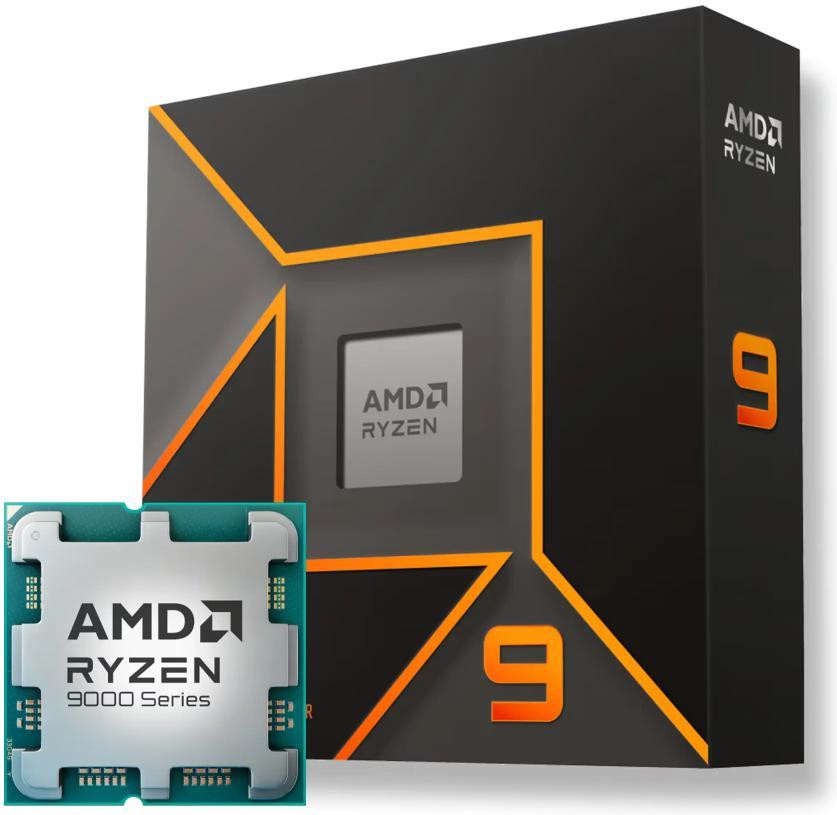 AMD Ryzen 9 9900X (100-100000662WOF)