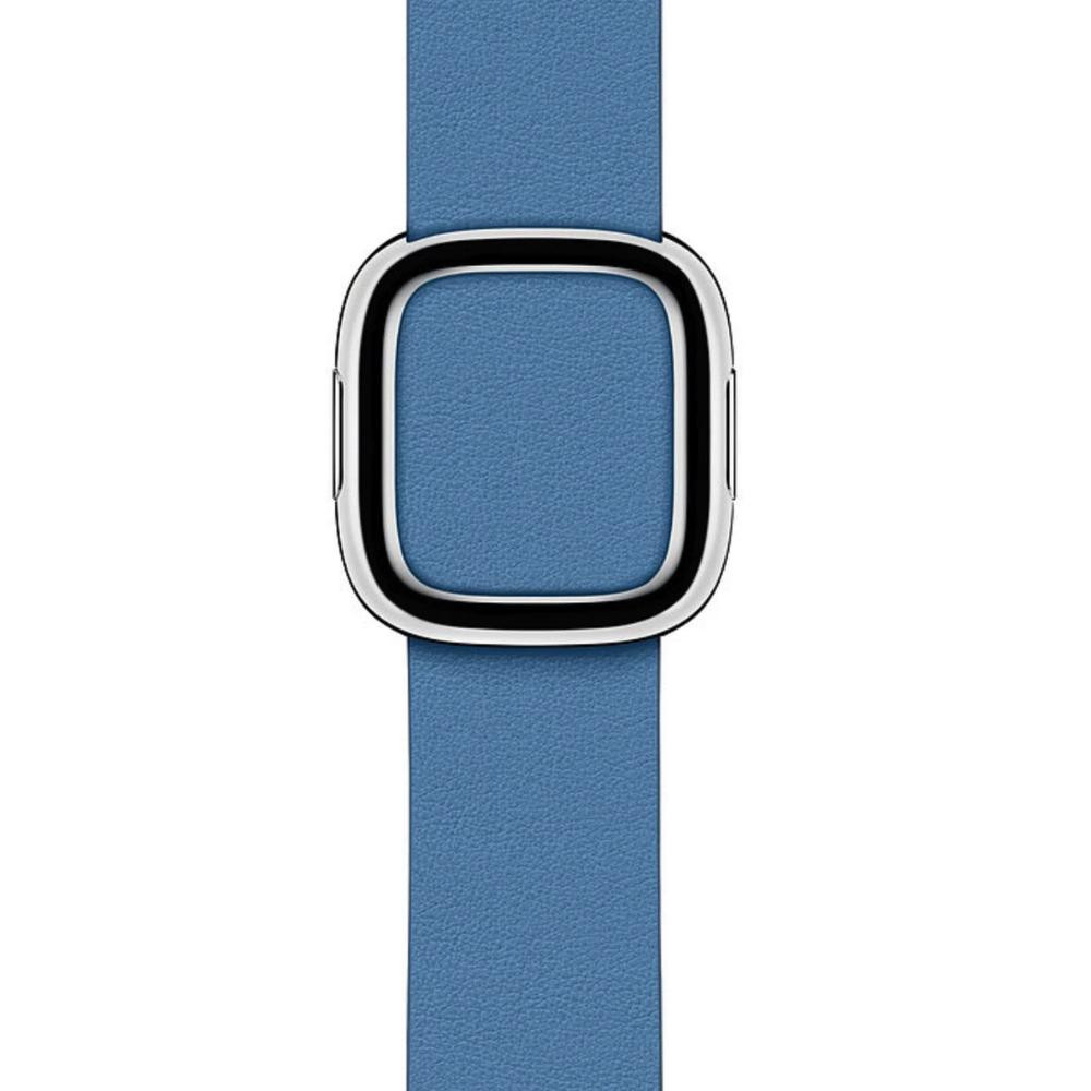 Apple Cornflower Modern Buckle - Large (MV6P2) для Watch 38-40mm