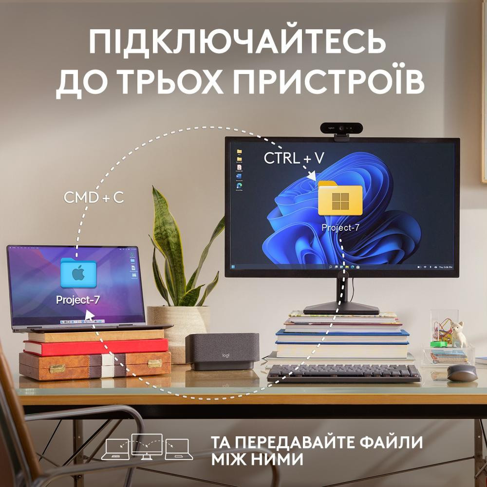 Slide 7 Thumbnail
