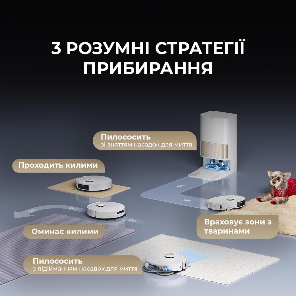 Slide 6 Thumbnail